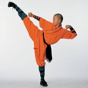 Was ist Kung-Fu?